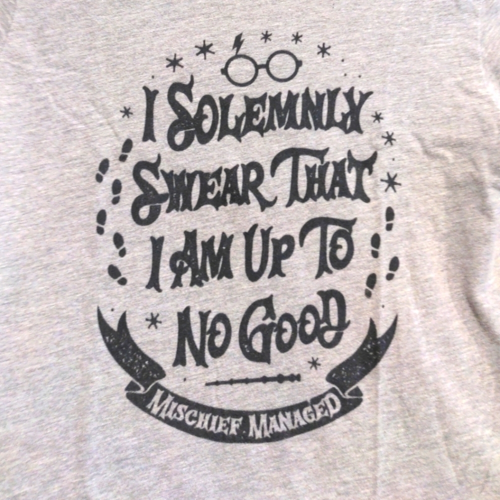 Harry Potter Mischief Managed Tee Medium Gray